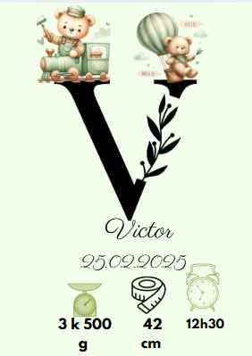 Affiche de naissance