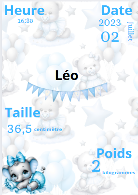 Affiche de naissance ourson
