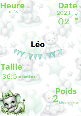 Affiche de naissance ourson