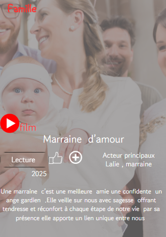 affiche famille netflix marraine