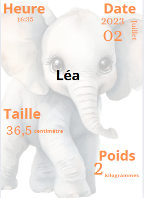 Affiche de naissance animaux