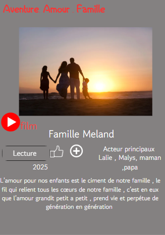 affiche  famille netflix