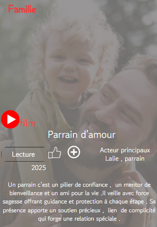 affiche  famille netflix  parrain