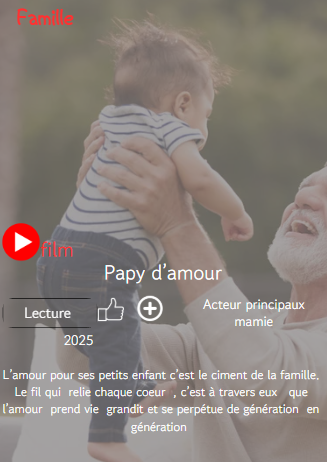 affiche  famille netflix   papy