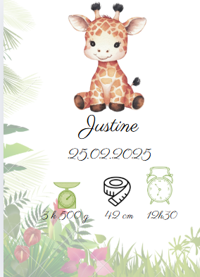 Affiche de naissance jungle