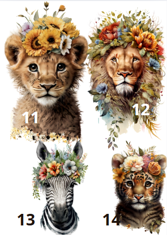 Lot de 3 affiches