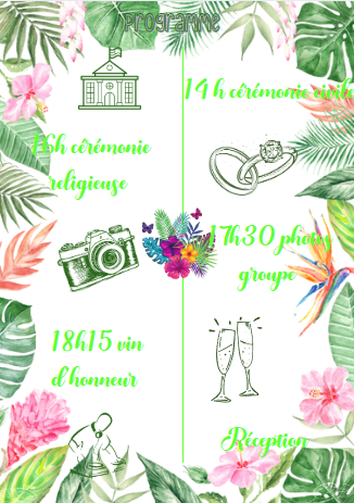 Tableau programme  tropical