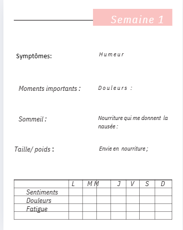 planner de grossesse  numérique